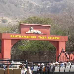 Ranthambore: Tiger Territory
