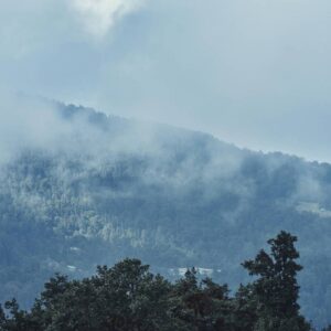 Manali & Kasol Backpacking