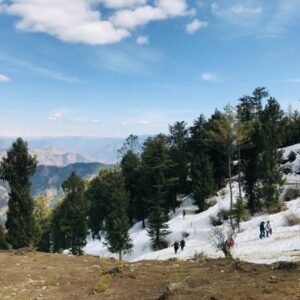 Shimla Kufri Escape